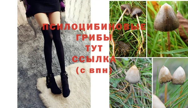 бутират Алзамай